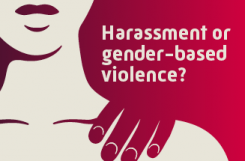 Harassment or gender-based violence