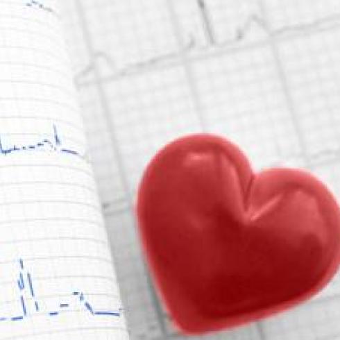 Heart improves after heart attack through stimulation of BDNF protein