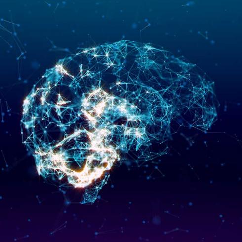 Computer models of injured brains predict neurological deficits in stroke