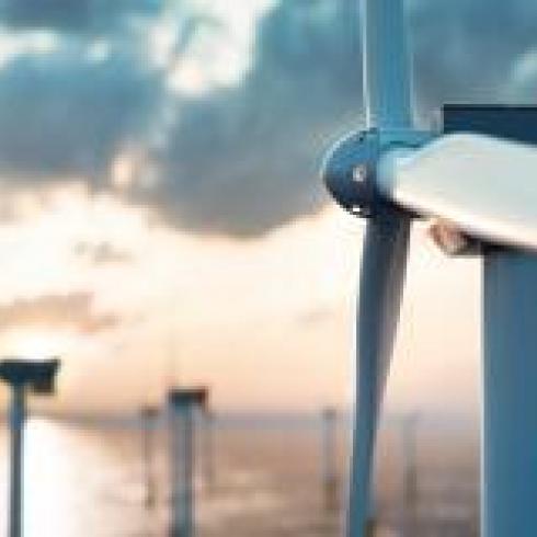 Offshore wind farms: a lifeline for millions of hectares of marine life