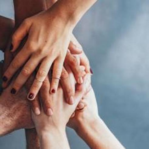 The importance of cooperation for the sustainability of common resources