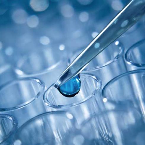 Airc rewards Unipd in cancer research