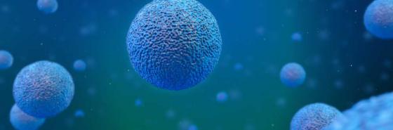 cellule