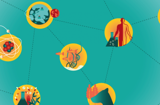 Collegamento a Unipd Master's programs: 138 opportunities within a broad multidisciplinary offering
