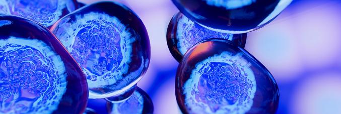 cells