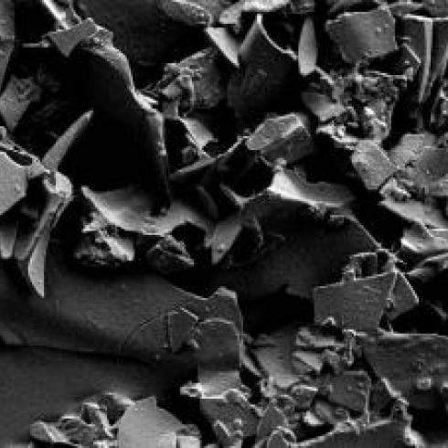 A new protocol that evaluates toxicity levels of microplastics and nanoplastics