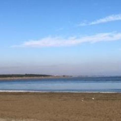 Solar Energy, a Vegetarian Diet, and Planting Trees: a Model for the Planet