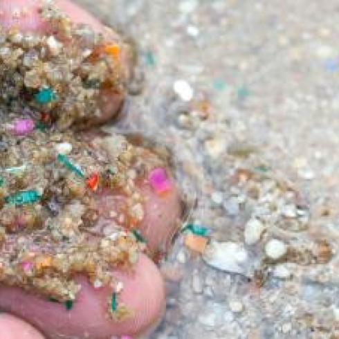 A University of Padua study reveals the mechanisms trapping microplastics in river sediments