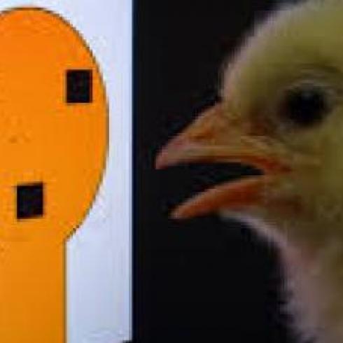 The Flap project of Unipd among the winners of the Synergy Grant 2025