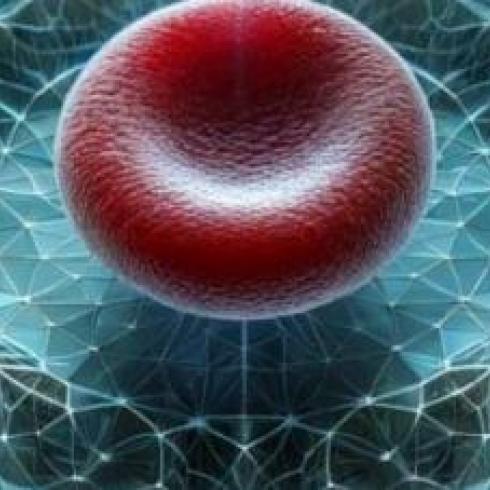 Measuring Entropy Production Rates. A Unipd Study