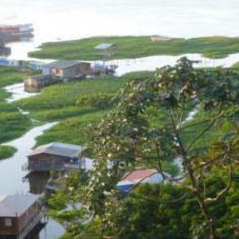 Greenhouse Gas and the 200-Million Year Old Mass Extinction