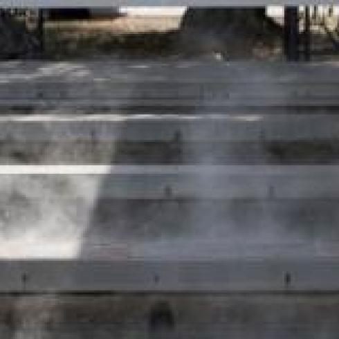 New tools for thermal biodiversity: database and strain collection
