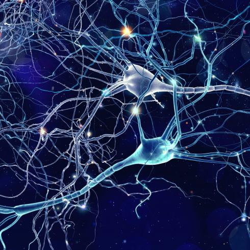 Artificial neurons for “intelligent” neuroprostheses