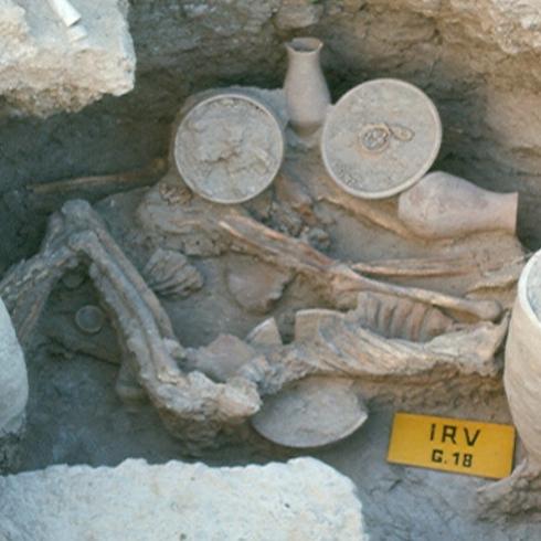 Ancient DNA: this is who we are