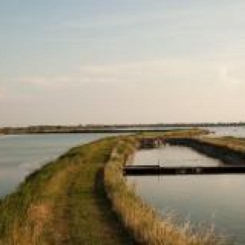 The Delta Maps: from combating the blue crab to slow tourism