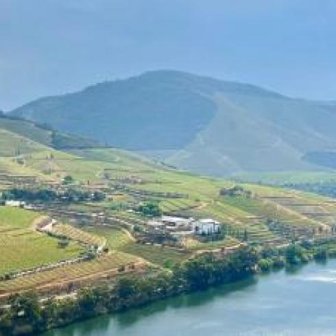 Heroic viticulture: challenges of unique heritage landscapes