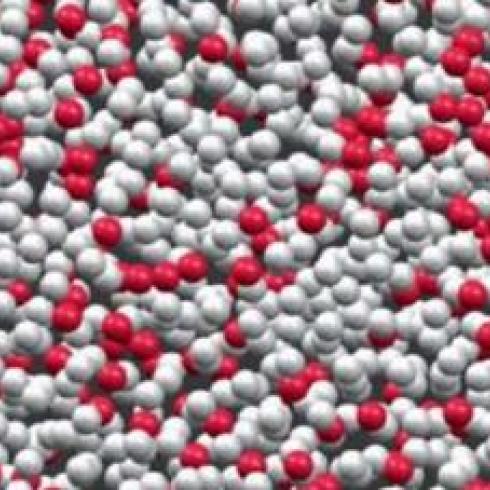 Supercooled states of liquid show a mosaic structure