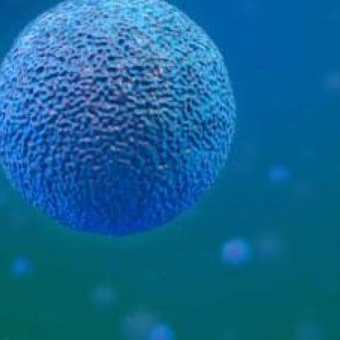 Unipd research: DNA paves the way for new therapeutic targets