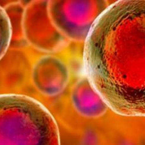 New therapeutic perspectives from the study of mechanisms underlying certain mitochondrial diseases