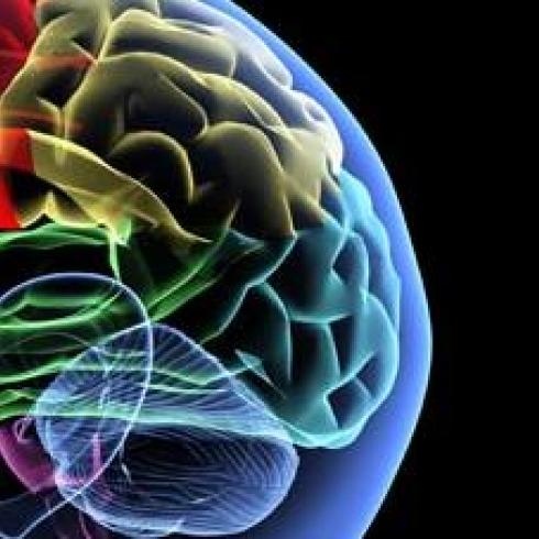 Alzheimer: brain connectivity as a new therapeutic target and key measure for drugs