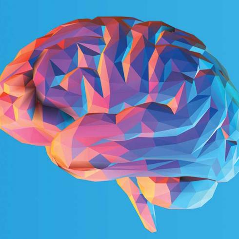 The brain at rest, how to optimize your future performance