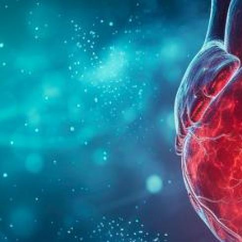 In Padua, the world's first heart transplant from a non-beating donor to a fully beating heart