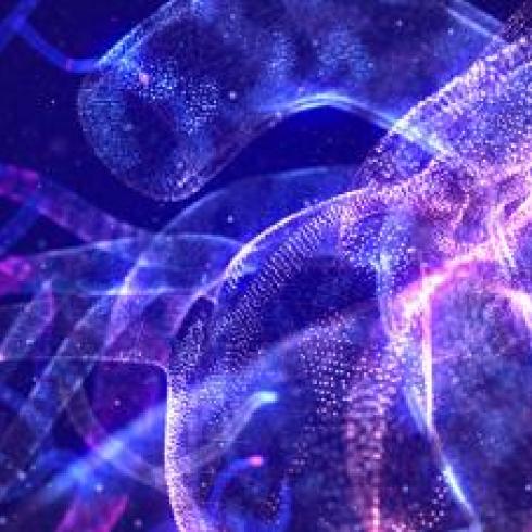 How cardiac cells levels affect brain activity and behavior