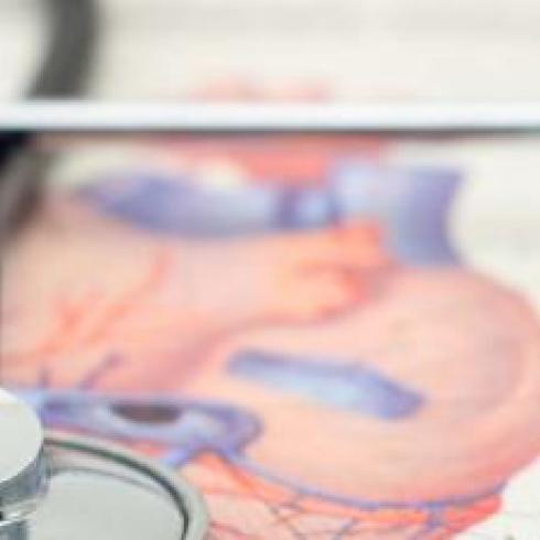 Increasing the longevity of biologically engineered heart valve implants