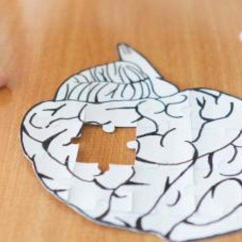 Alzheimer research to find out who will develop the disease