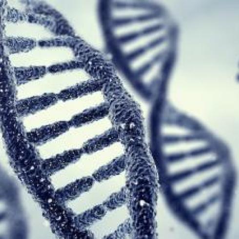 Studies of g-quadruplex offer useful indications for designing new therapeutic drugs