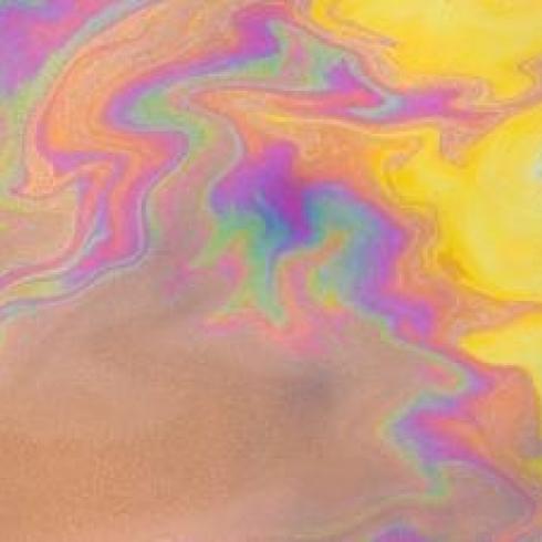 PFAS change calcium in the body