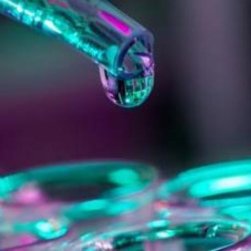 Capsules that "capture" pollutants