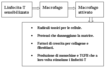 diagramma (4k)