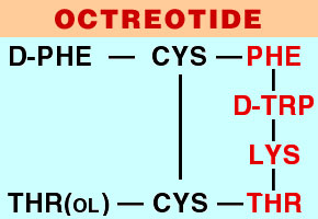 Octreotide