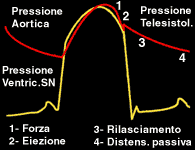 curva pressione-tempo