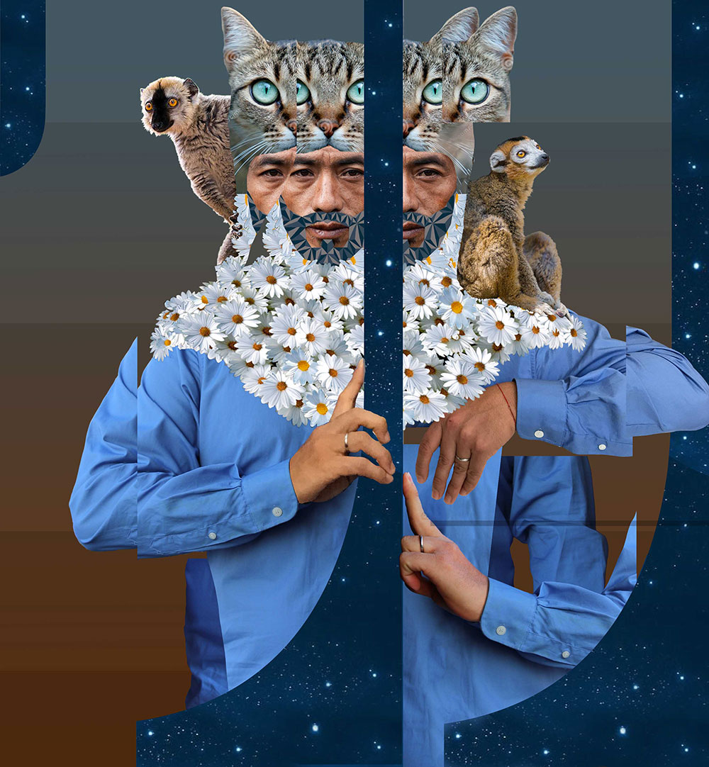 bozzetto koz