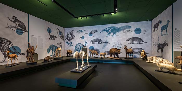 Museo della Natura e dell'Uomo - Padova