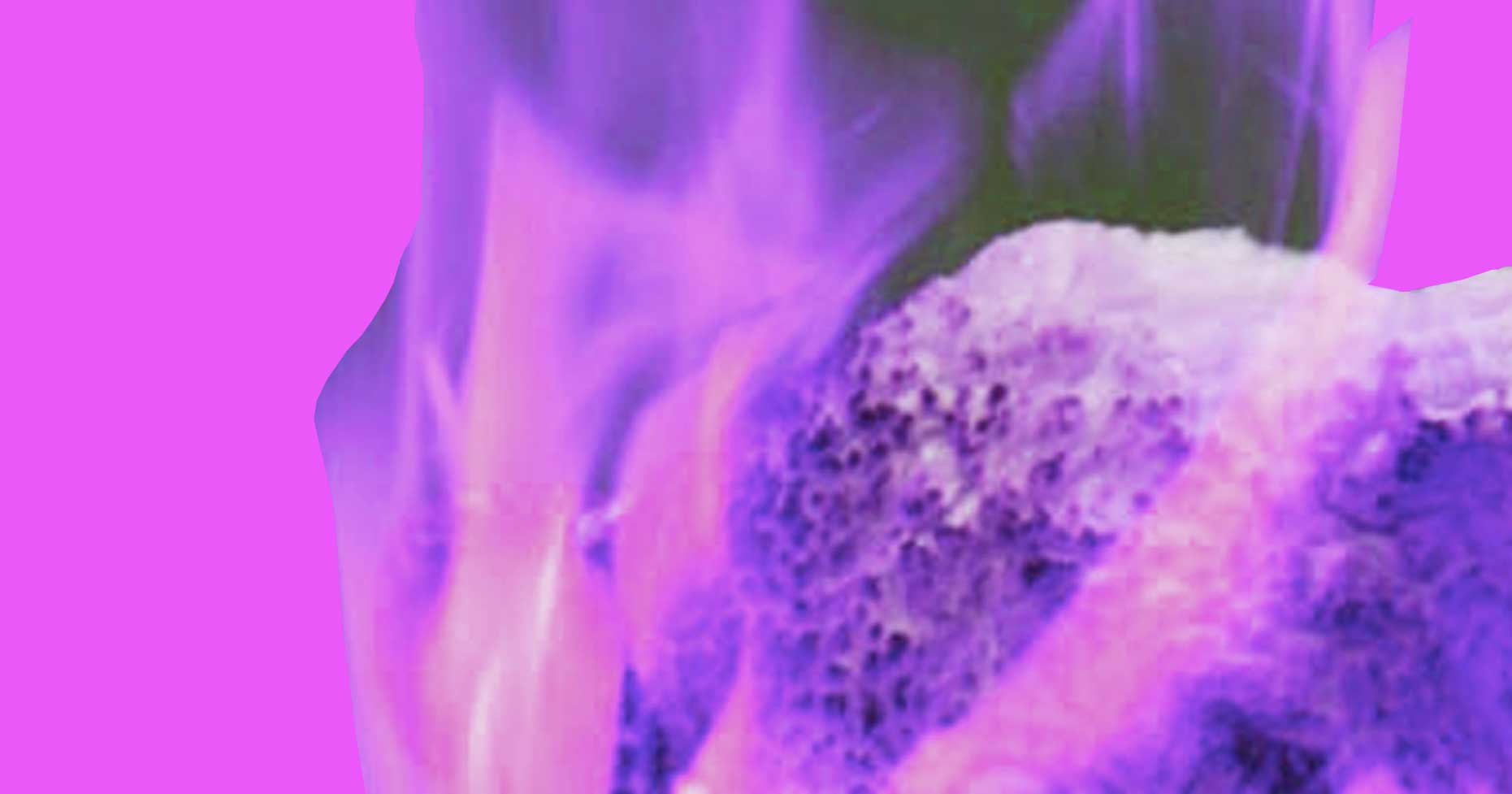 Under adult supervision Università di Padova