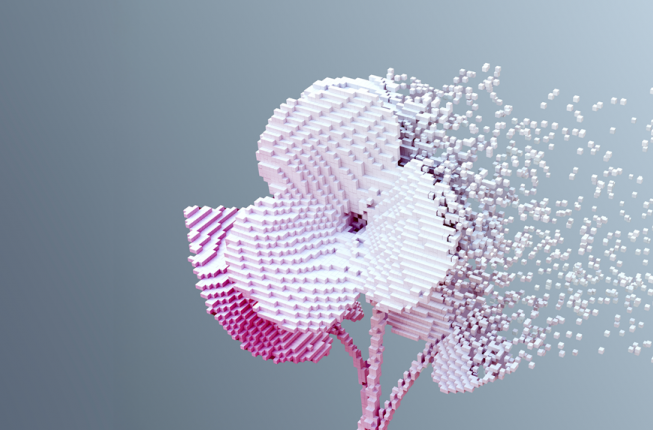 Collegamento a Contro la violenza.Al Bo, il 16 gennaio, viene presentata la 'Carta di Padova 2026'