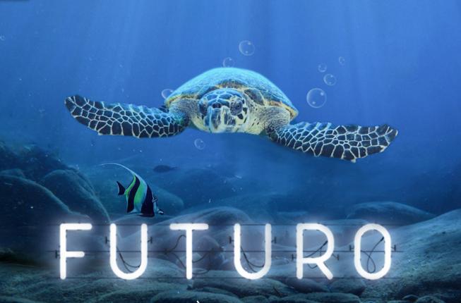 Collegamento a Unipd al Festival dello Sviluppo sostenibile