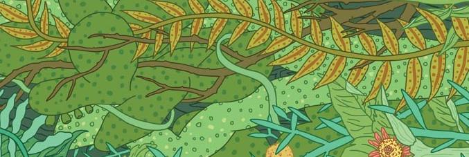 disegno di  piante verdi