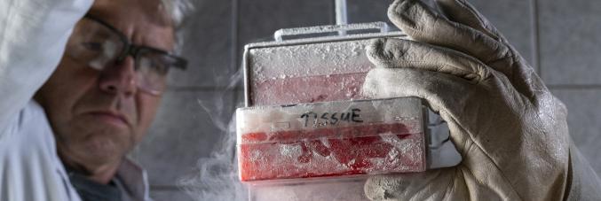 Cryostorage of biomaterial at the Leibniz-IZW 2_photo by Jon A. Juarez