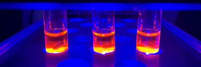 prove laboratorio