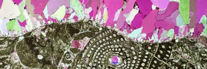 particolare di roccia la microscopio