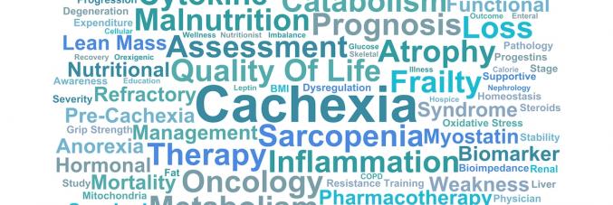 Words related to cachexia