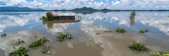 mekong