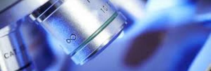 microscopio