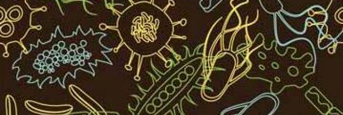 microbs