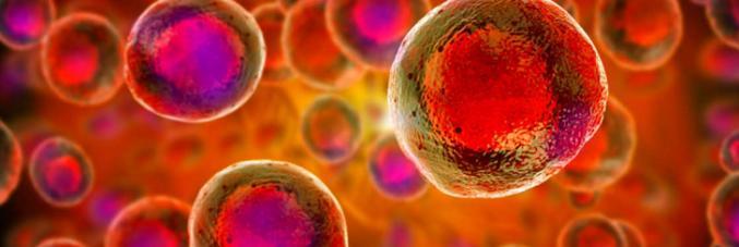 cells