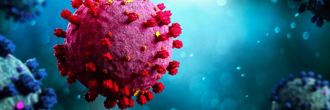 virus